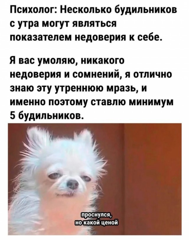 Картинки для деградации 284 (разной степени свежести)