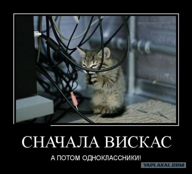 Они такие