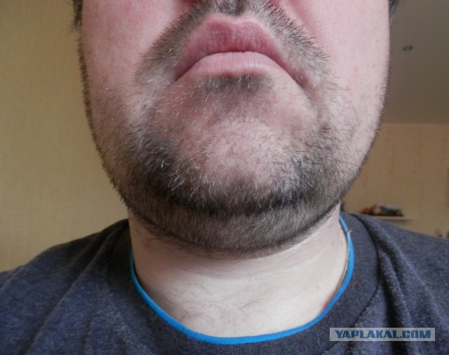 Выращиваем бороду в комнатных условиях