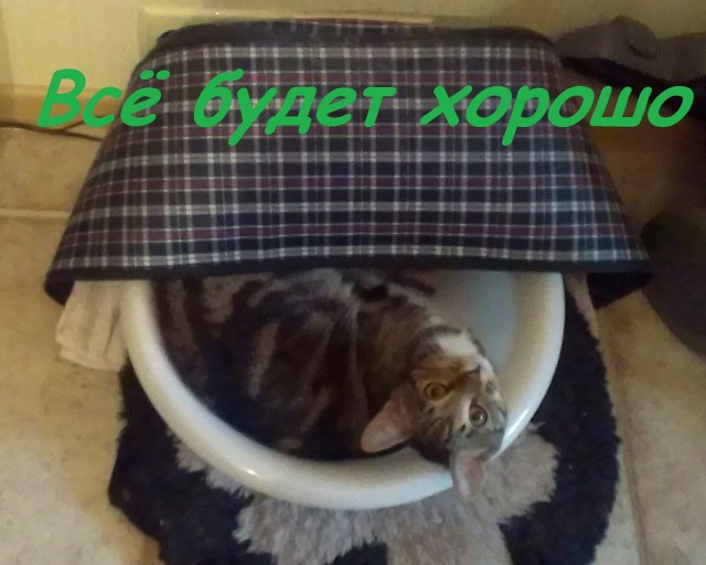 Тема для юмора