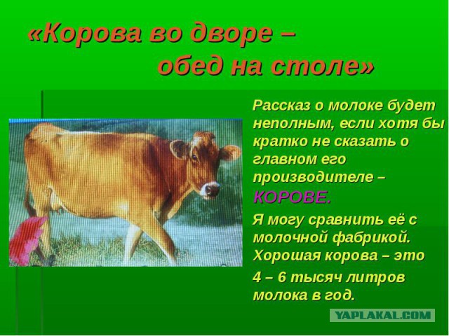 Всем зеленки!