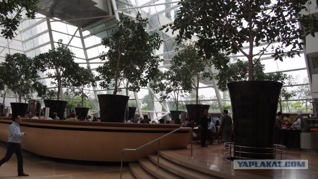 Сингапур. Гостиница "Марина Бэй"