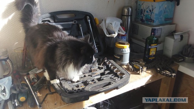 Классификация мотоциклов