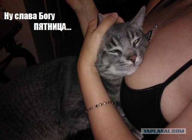 пятница, вроде как