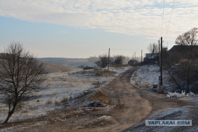 Приезжайте в деревню