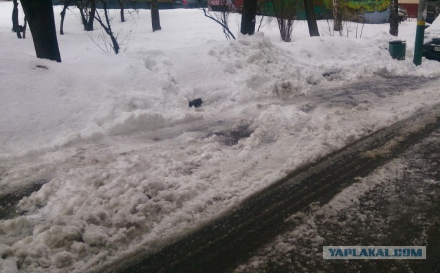 В Москве 4 марта в мечетях пройдет сбор средств для родителей убитого няней ребенка