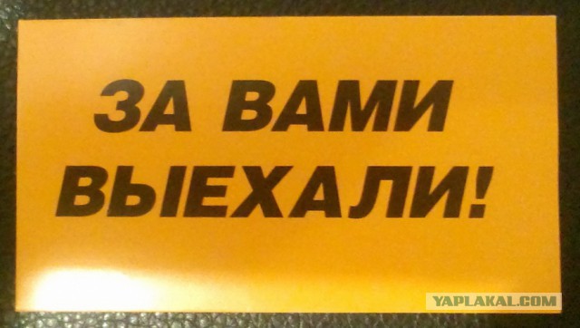 "Хочу быть министром культуры": Юлия Михалкова вошла в тройку лидеров праймериз "Единой России"