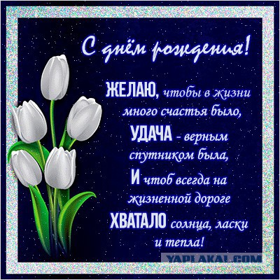Жизнь как она есть 2