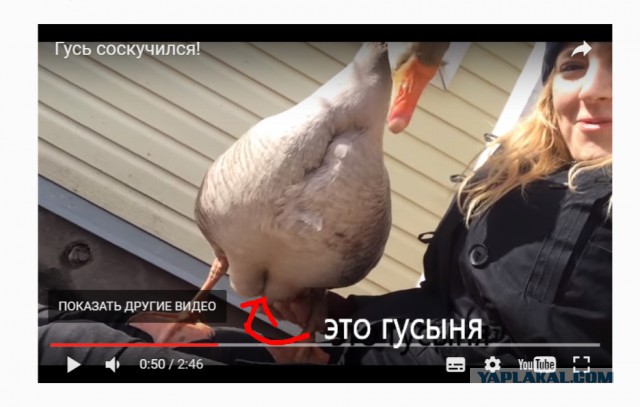 А потом она его съела.