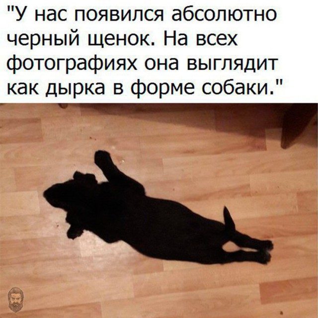 Всё как и всегда в точку...
