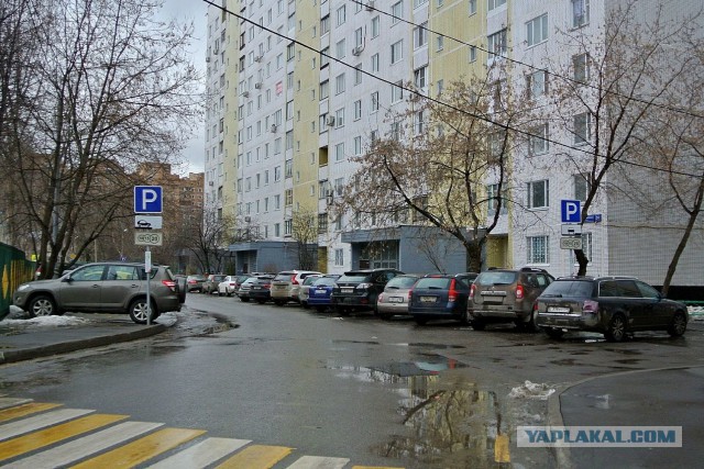 Черная неблагодарность. Почему москвичи так и не полюбили Собянина