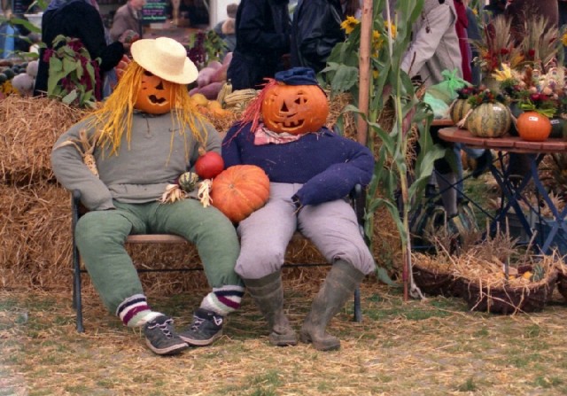 ХЭЛОУИН. Празднуем Halloween