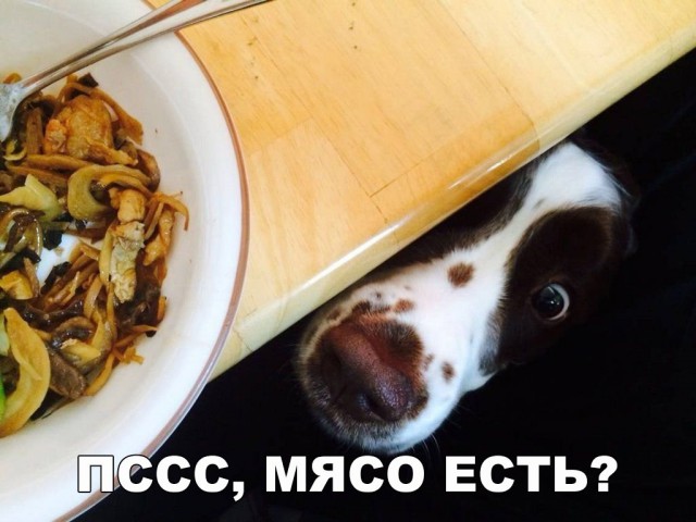Нестандартный юмор