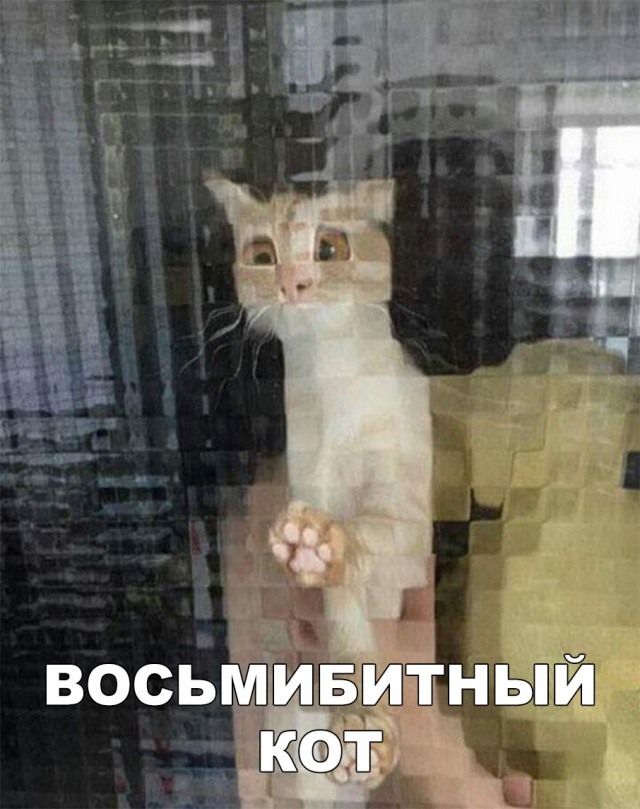 Нестандартный юмор