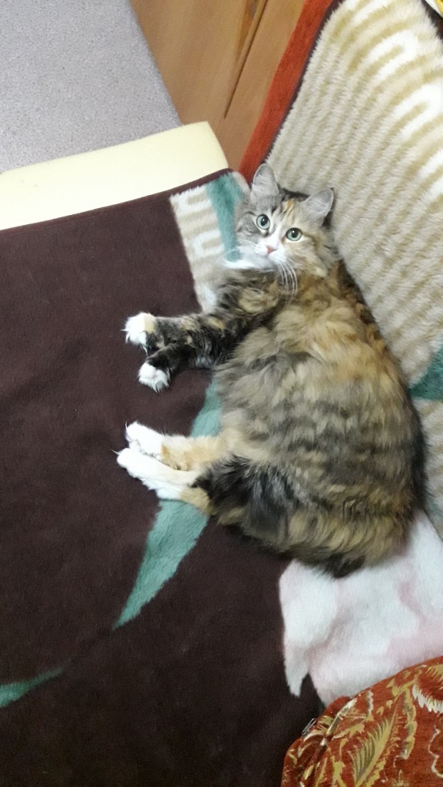 Немного милоты
