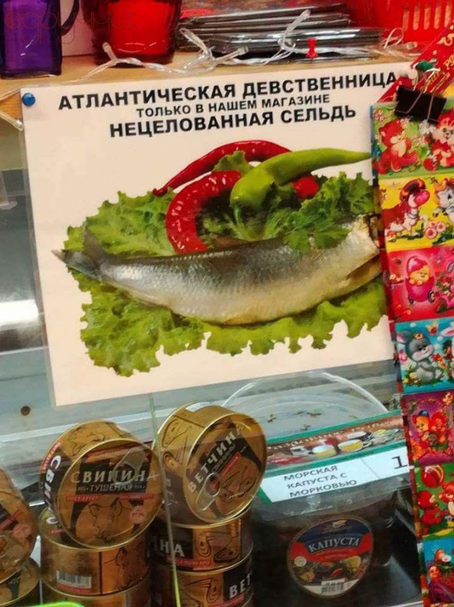 Выловлено в наших сетях