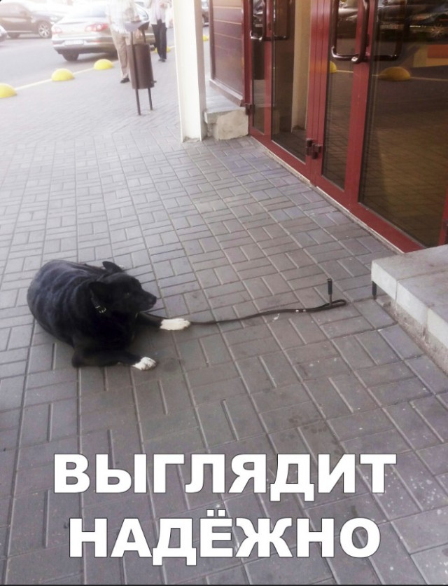 Нестандартный юмор
