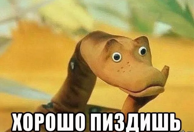 Достижения плешивого за 20 лет