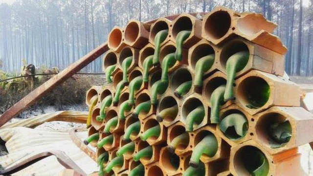 Подборка интересных и веселых картинок 29.04.20