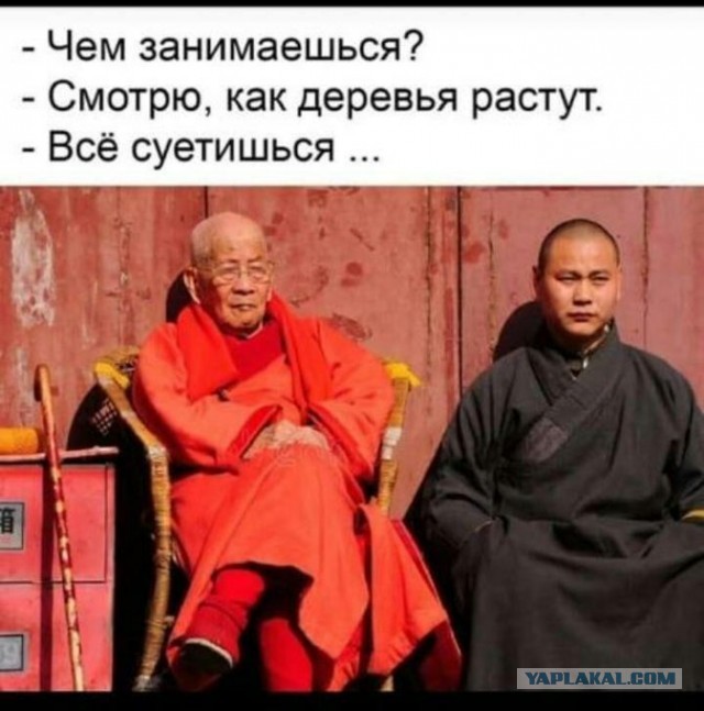 Бредзона 20.05.2020