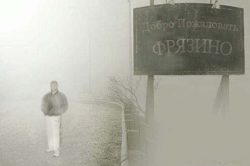 Фотожаба: Свидетель из Фрязино