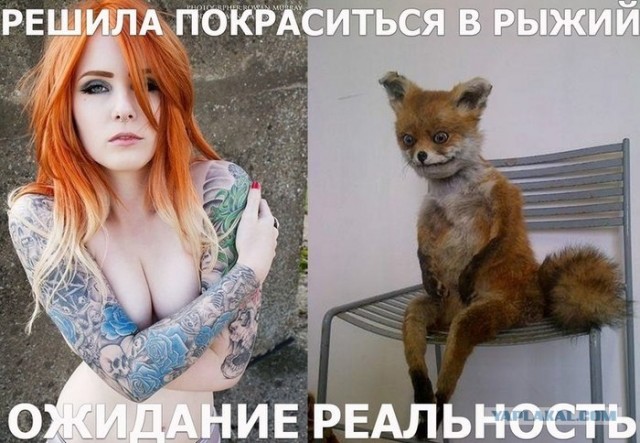 Таксидермия + наркомания