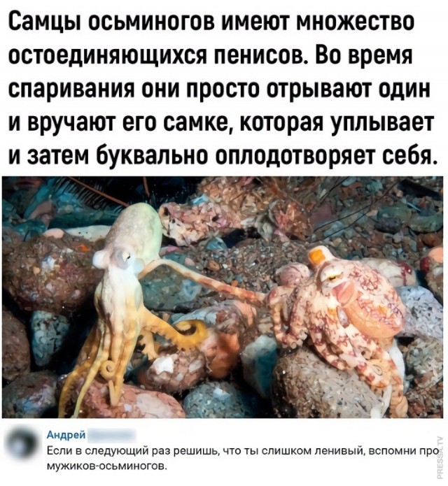 Картинки и мемы для настроения 029