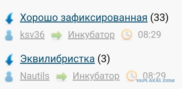 Эквилибристка