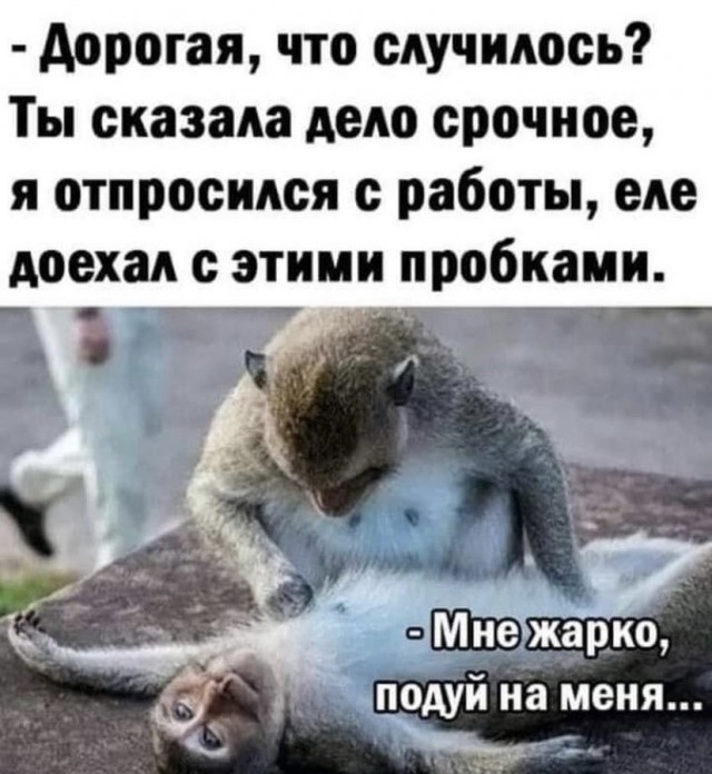 Картинки и мемы для настроения 006