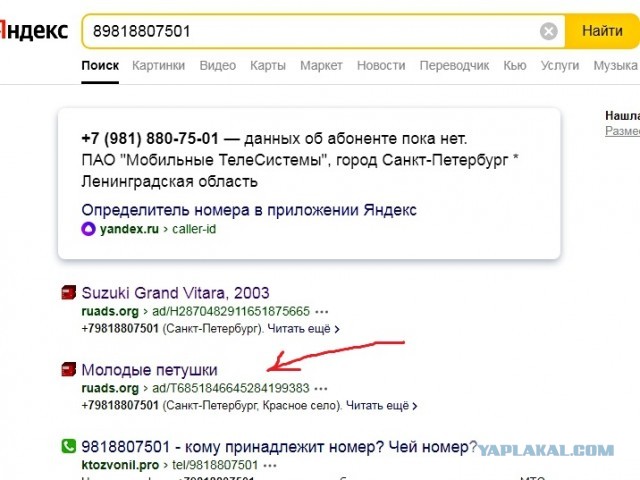 Вот такой ветеран ГАИ обитает в Ленинградской области