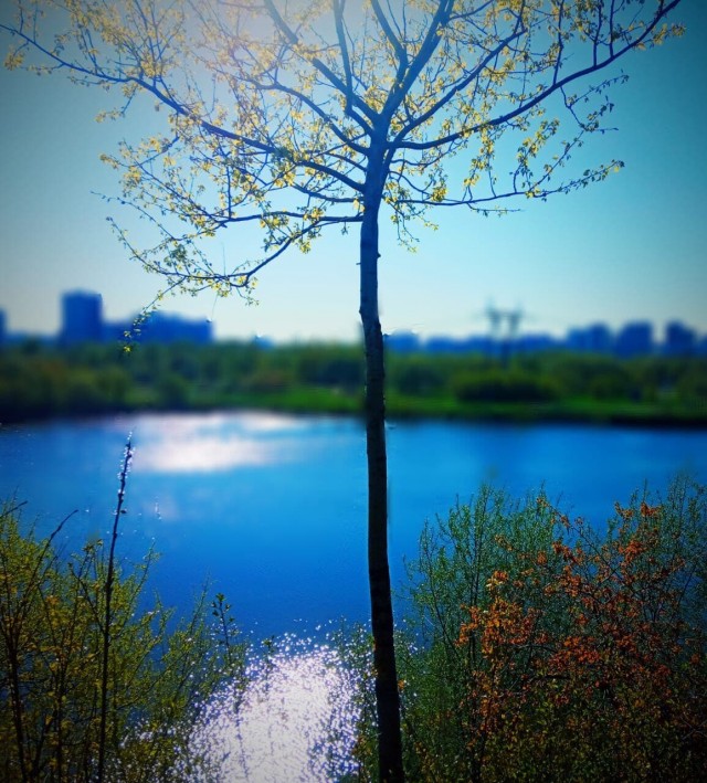 Моя мобильная фотография