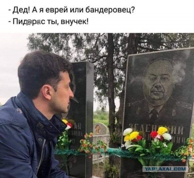 Их там травят чем-то?