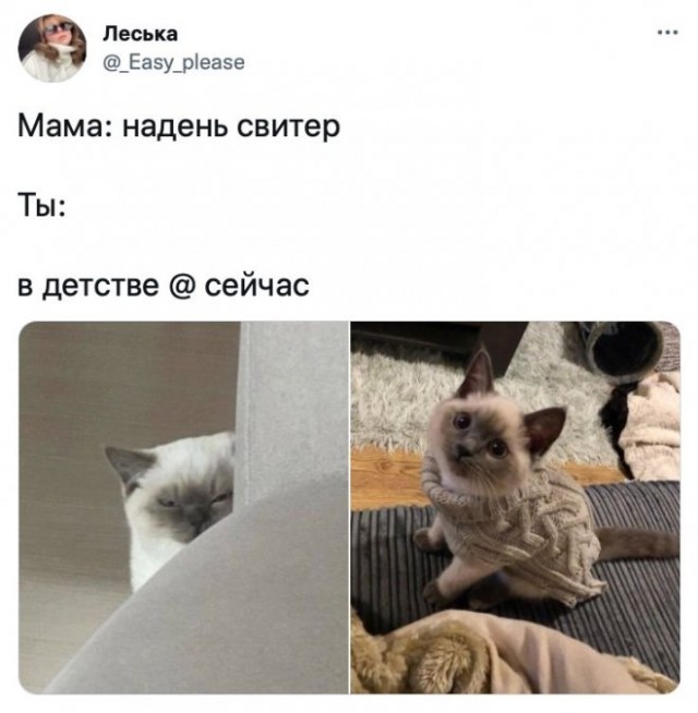 Картинки и мемы для настроения 09.12.2021