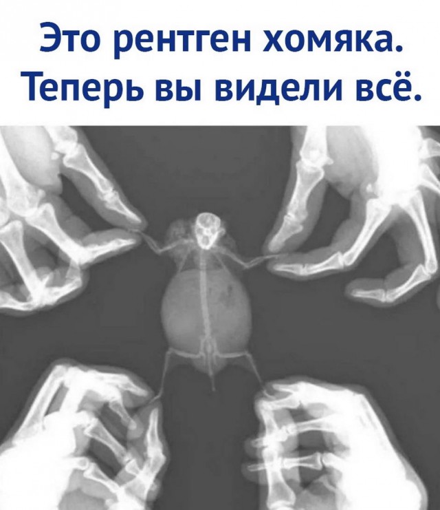Лютой Упоротости Псто