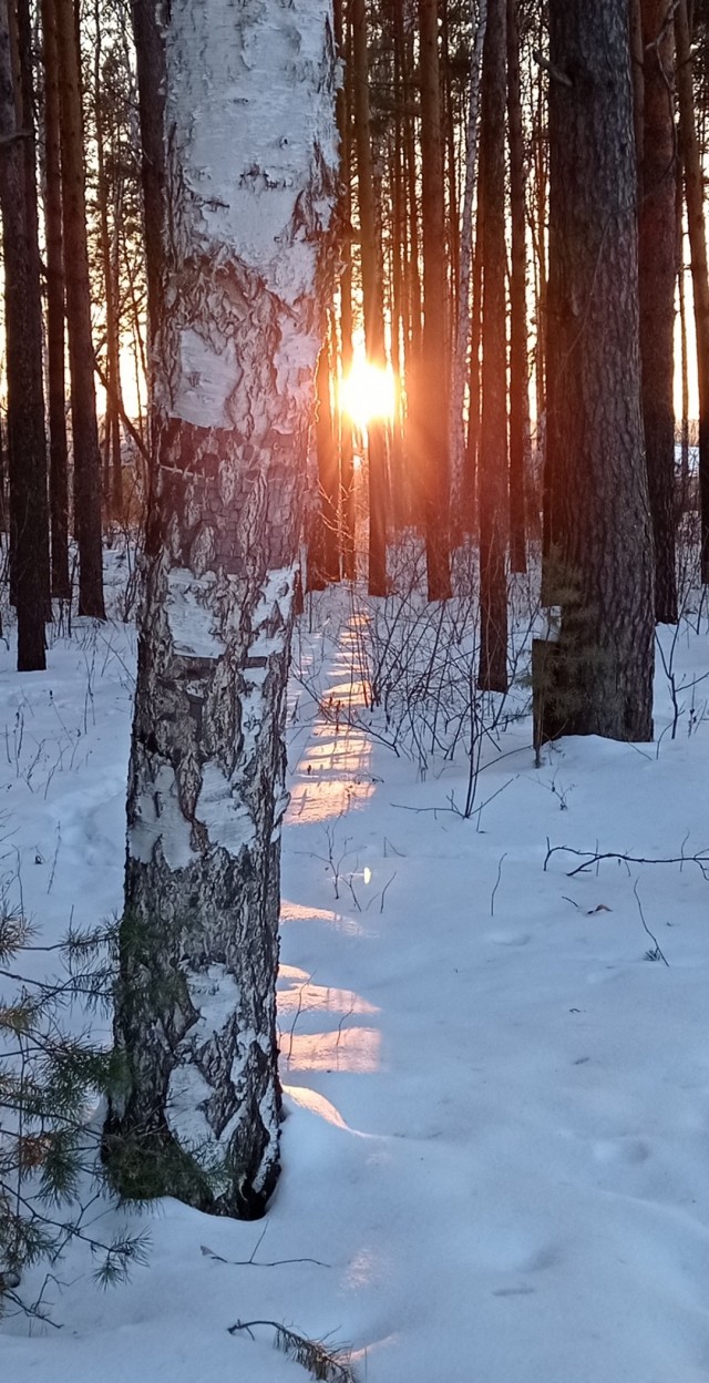 Фотки с телефона.