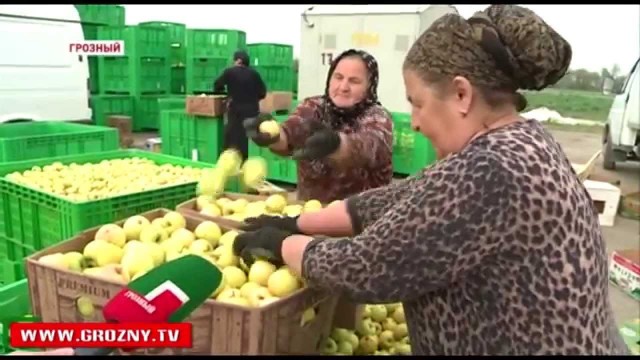 Задолженность жителей и компаний Грозного за электроэнергию превысила 1 млрд рублей