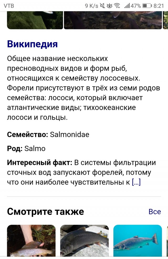 Байкальский омуль увеличился примерно вдвое. Ученые не понимают, в чем дело