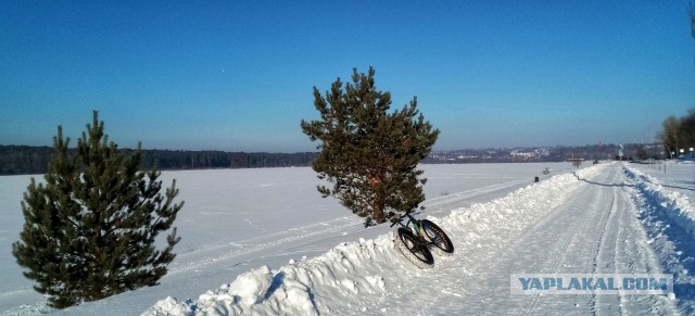 С обновкой меня!