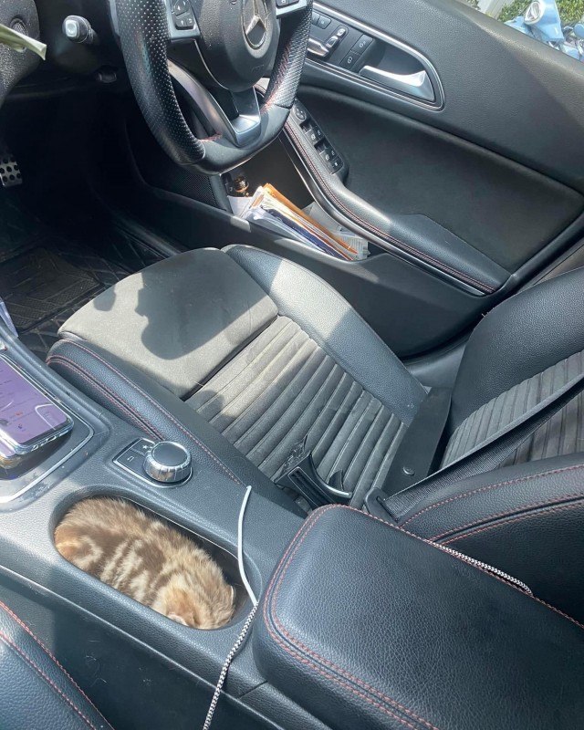 Тютелька в тютельку