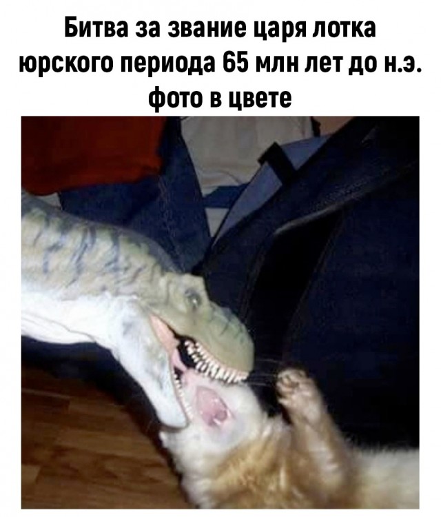 Так себе картинки 24.06.22