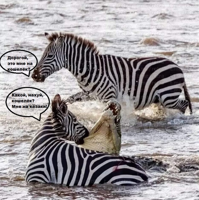 O kurwa
