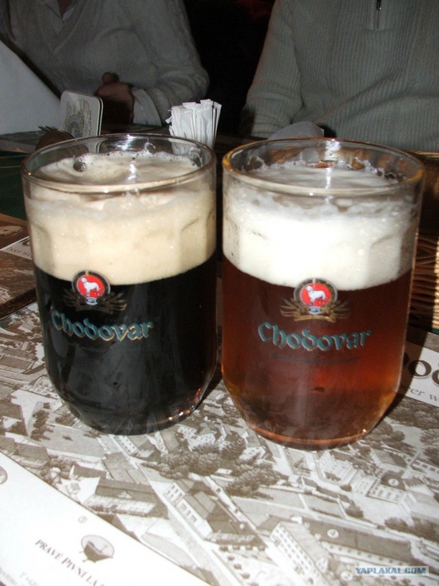 Пивная Прага