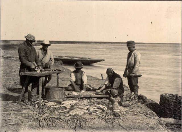 Сибирские казаки на службе и дома. Альбом 1911 года