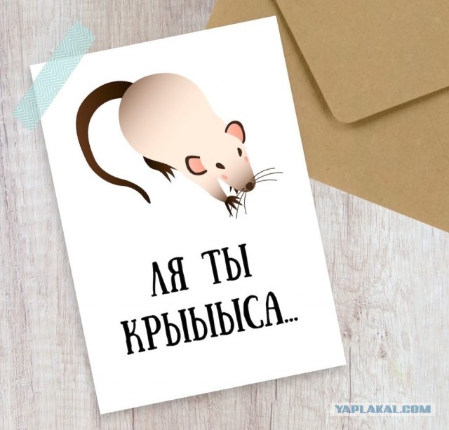 Что вам говорит ваше руководство по поводу низкой зарплаты и не повышения ее?