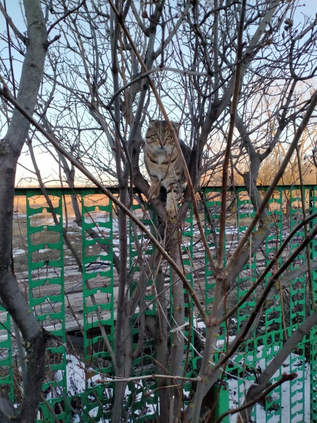 Не поверишь!