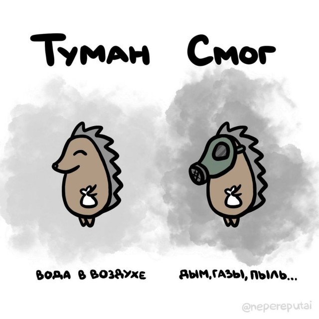 Смотри, Кутузов, не перепутай... vol.2