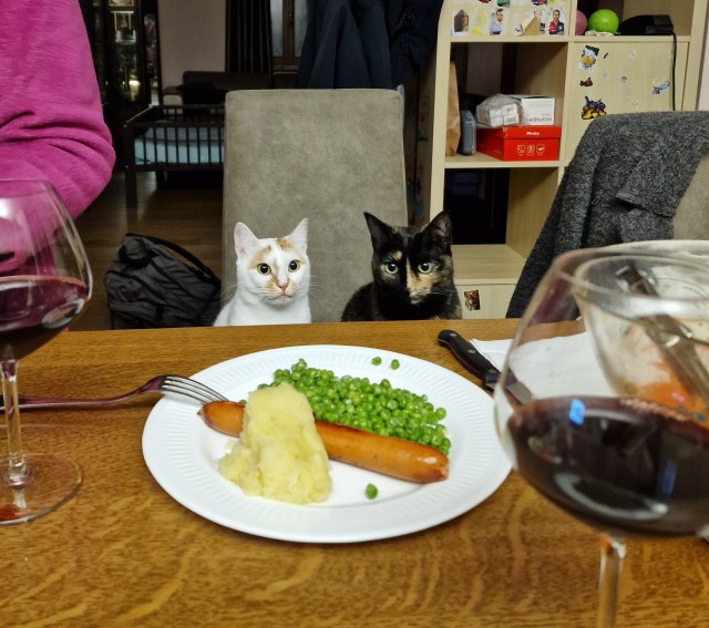 Коты-работяги