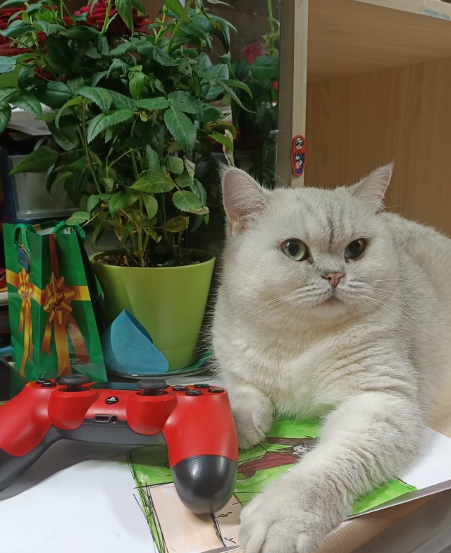 Дождалась
