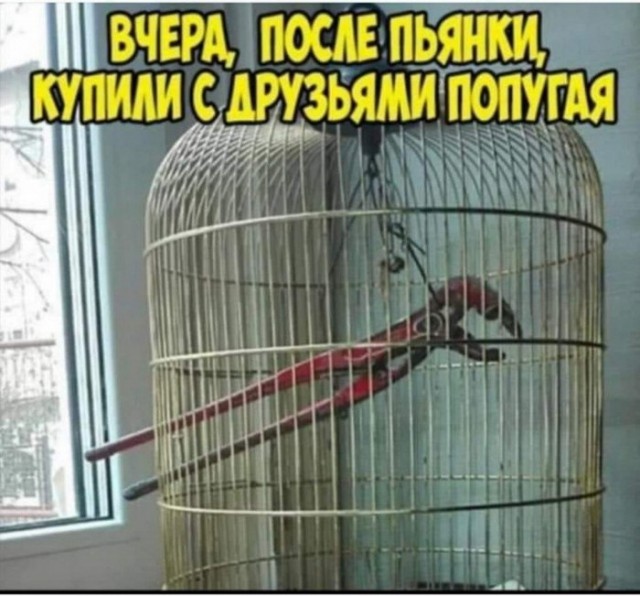 Картинки разнообразные
