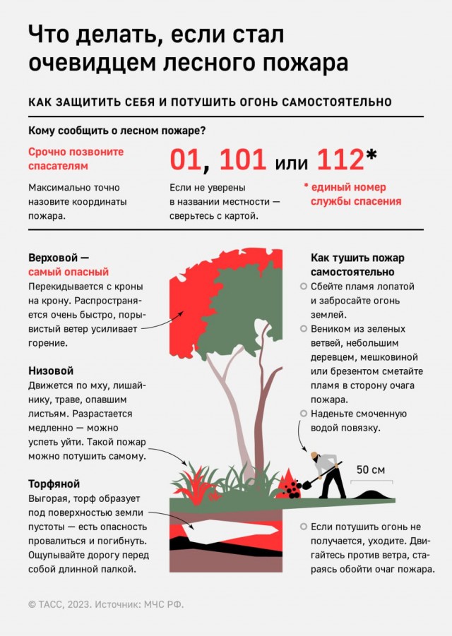 Победная поступь идиотизма по планете – том 14